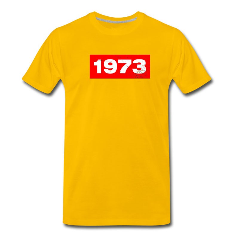 Men's 1973 Birthday Gift Idea T-Shirt