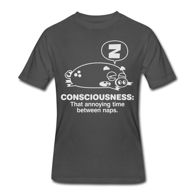 Men's Conciousness Is Overrated! T-Shirt