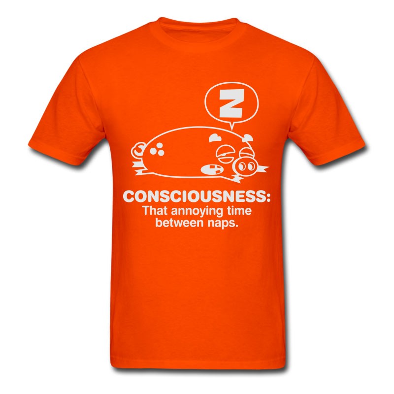 Men's Conciousness Is Overrated! T-Shirt