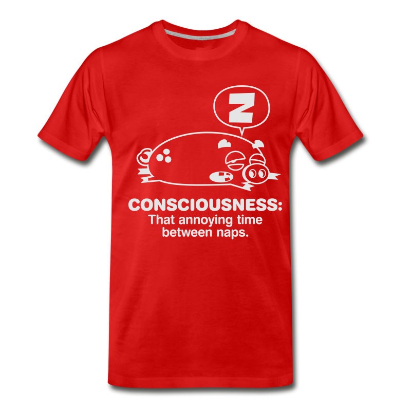 Men's Conciousness Is Overrated! T-Shirt