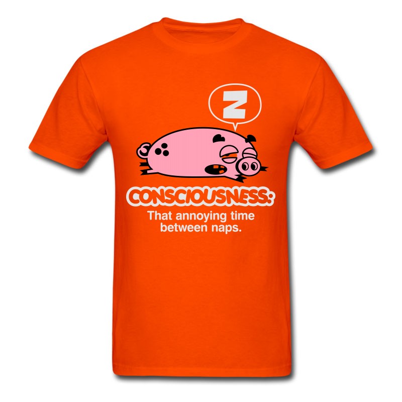 Men's Consciousness Is Overrated! T-Shirt