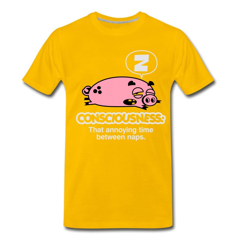 Men's Consciousness Is Overrated! T-Shirt